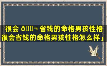 很会 🐬 省钱的命格男孩性格「很会省钱的命格男孩性格怎么样」